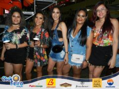 Festa do Bezerro Manhoso